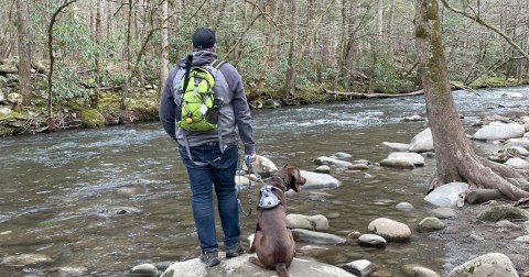 We Enjoyed A Relaxing Hike Near Gatlinburg On This Year-Round Trail