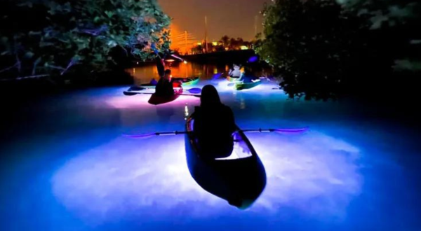 This Nighttime Float Under A Canopy Of Lights Belongs On Your Florida Bucket List