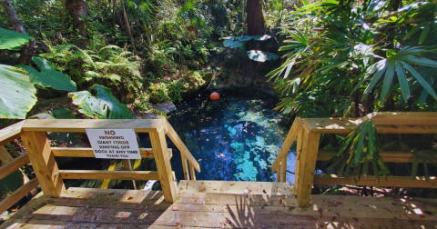 Head Underground And Experience Crystal Clear Water At This Cave Spring In Florida
