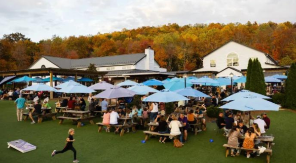With Its Own Kid’s Menu, This Incredible Brewery In Virginia Is Perfect For Families