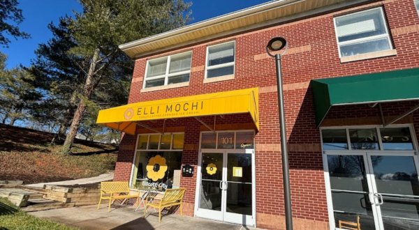 You’ll Never Look At Donuts The Same Way After Trying Elli Mochi Donuts In Maryland