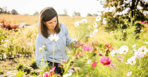 Mount Olive Farms Is A Regenerative Flower Farm In Arkansas That's Giving Comfort And Joy, One Beautiful Bouquet At A Time