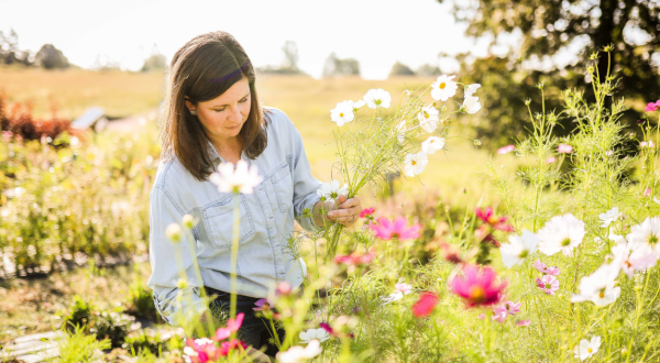 Mount Olive Farms Is A Regenerative Flower Farm In Arkansas That’s Giving Comfort And Joy, One Beautiful Bouquet At A Time
