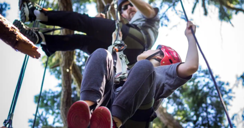It's An Epic Climbing Adventure In An Old-Growth Forest In Washington