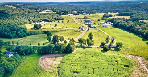 The Whole Family Could Spend An Entire Day Having A Blast At Pineland Farms In Maine