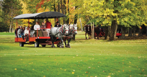 It's An Epic Rustic Adventure Riding In A Carriage To A Five-Course Meal In Michigan