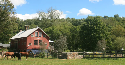The Hidden Spirit Horse Farm Is A Farm Stay In Connecticut With The Utmost Charm