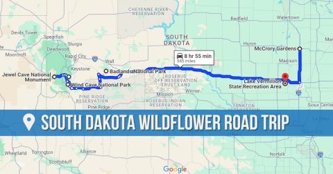 The Incredible Flower Road Trip Through South Dakota Is The Ultimate Spring Adventure