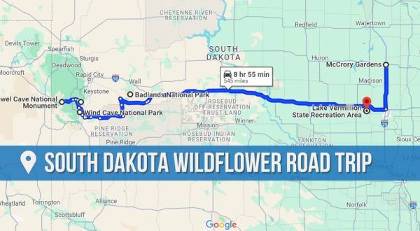 The Incredible Flower Road Trip Through South Dakota Is The Ultimate Spring Adventure