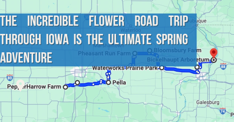 The Incredible Flower Road Trip Through Iowa Is The Ultimate Spring Adventure