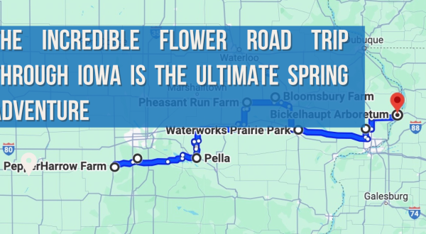The Incredible Flower Road Trip Through Iowa Is The Ultimate Spring Adventure