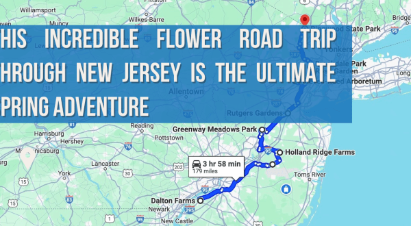 This Incredible Flower Road Trip Through New Jersey Is The Ultimate Spring Adventure