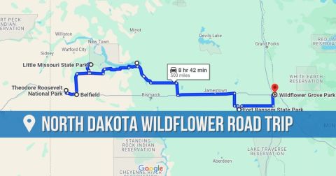The Incredible Flower Road Trip Through North Dakota Is The Ultimate Spring Adventure
