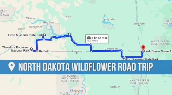 The Incredible Flower Road Trip Through North Dakota Is The Ultimate Spring Adventure