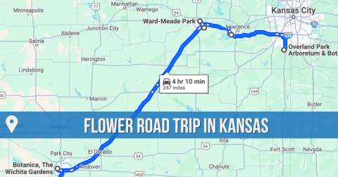 The Incredible Flower Road Trip Through Kansas Is The Ultimate Spring Adventure