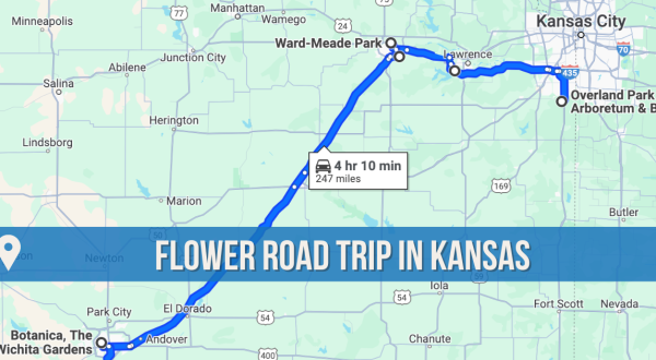 The Incredible Flower Road Trip Through Kansas Is The Ultimate Spring Adventure