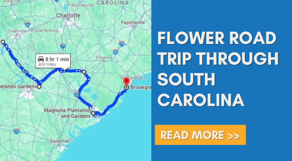 The Incredible Flower Road Trip Through South Carolina Is The Ultimate Spring Adventure