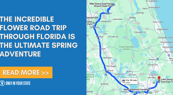The Incredible Flower Road Trip Through Florida Is The Ultimate Spring Adventure