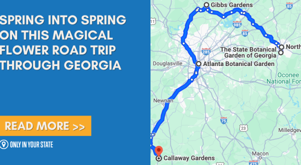 The Incredible Flower Road Trip Through Georgia Is The Ultimate Spring Adventure