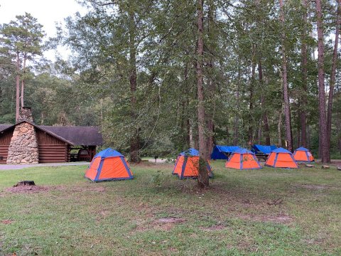 This Year-Round Campground In Texas Is One Of America's Most Incredible Forest Oases