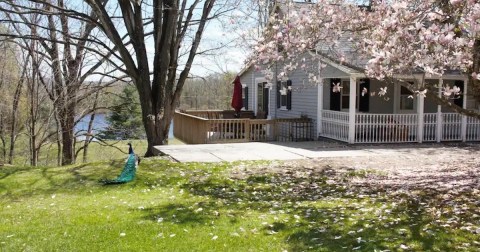 The Magnificent Lakefront Airbnb In New Jersey That Is Perfect For A Spring Retreat