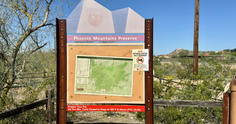 Let's Go For A Spring Hike At The Phoenix Mountain Preserve In Arizona