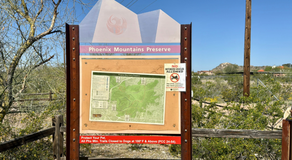 Let’s Go For A Spring Hike At The Phoenix Mountain Preserve In Arizona