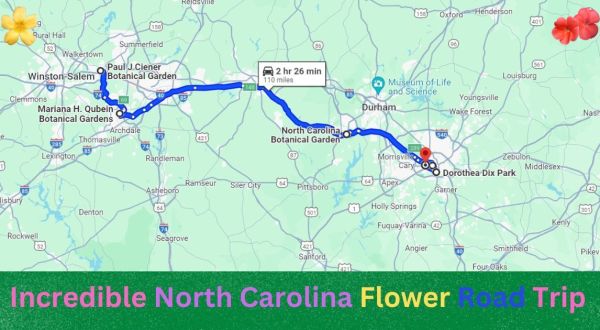 The Incredible Flower Road Trip Through North Carolina Is The Ultimate Spring Adventure