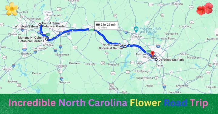 flower road trip in North Carolina
