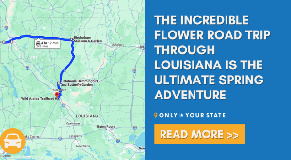 The Incredible Flower Road Trip Through Louisiana Is The Ultimate Spring Adventure