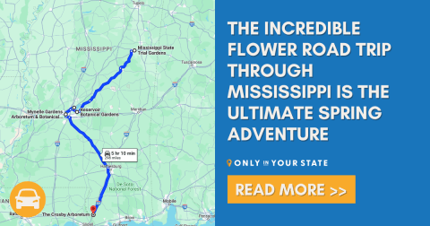 The Incredible Flower Road Trip Through Mississippi Is The Ultimate Spring Adventure