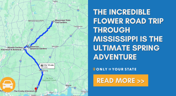 The Incredible Flower Road Trip Through Mississippi Is The Ultimate Spring Adventure