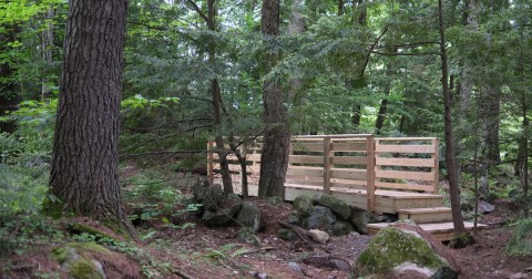 I Wandered Off-The-Beaten-Path And Discovered This Lovely Forest Walk In New Hampshire