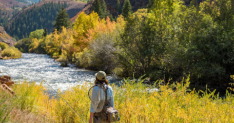 The Gorgeous, Little-Known River Is One Of The Most Underrated Fishing Spots In Colorado