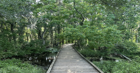This Louisiana Nature Sanctuary Makes For The Perfect Day Trip