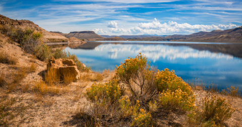 The Breathtaking Scenic Drive Through Colorado That Runs Along Blue Mesa Reservoir