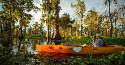 It's An Epic Adventure Taking A Photography Kayak Lesson Through The Swamps In Louisiana
