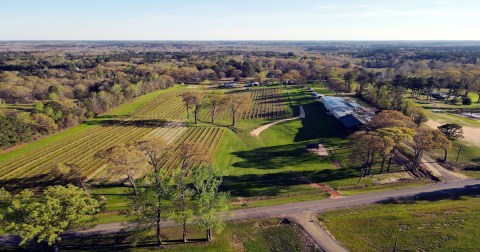The Winery In Louisiana That Features An Amazing Outdoor Concert Series