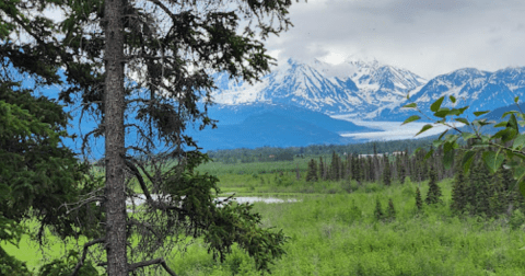 The Breathtaking Scenic Drive Through Alaska That Runs Along The Knik River