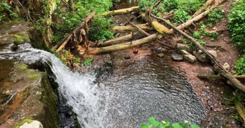 You’ll Fall In Love With The Little Waterfall Hiding Along This Breathtaking Virginia Trail