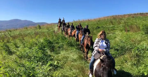 It's An Epic Mountain Adventure Riding Horseback To A Brewery In Virginia