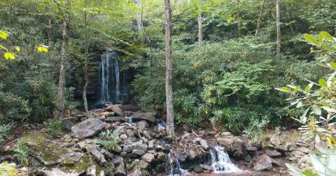 Bear Creek Preserve Creek Trail Loop Is One Of The Best Waterfall Hikes In Pennsylvania