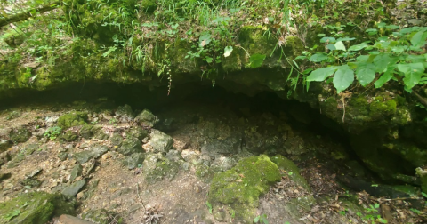 Encounter Not One But Three Natural Caves On Missouri’s Natural Wonders Trail At Meramec State Park