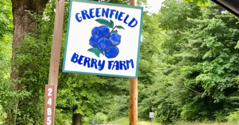 The Incredible Farm Near Cleveland Where You Can Pick Buckets Of Berries