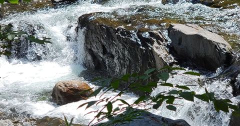 You’ll Fall In Love With The Tiny Waterfall Hiding Along This Breathtaking Vermont Trail