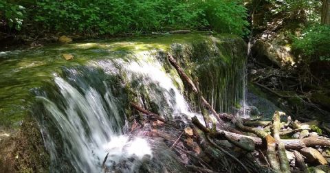 The Hidden Nature Park In Indiana With Its Very Own Springs, Two Caves, And So Much More