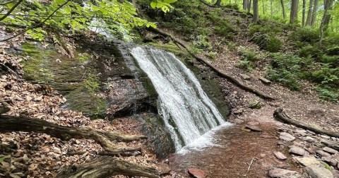 You’ll Fall In Love With The Tiny Waterfall Hiding Along This Breathtaking New Jersey Trail