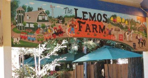 The Entire Family Will Love Visiting This Fantastic Farm In Northern California With A Petting Zoo, Hay Rides, And Picnic Spots