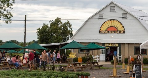 The Incredible Farm In New Jersey Where You Can Pick Buckets Of Berries