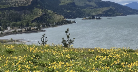 The Incredible Flower Road Trip Through Oregon Is The Ultimate Spring Adventure